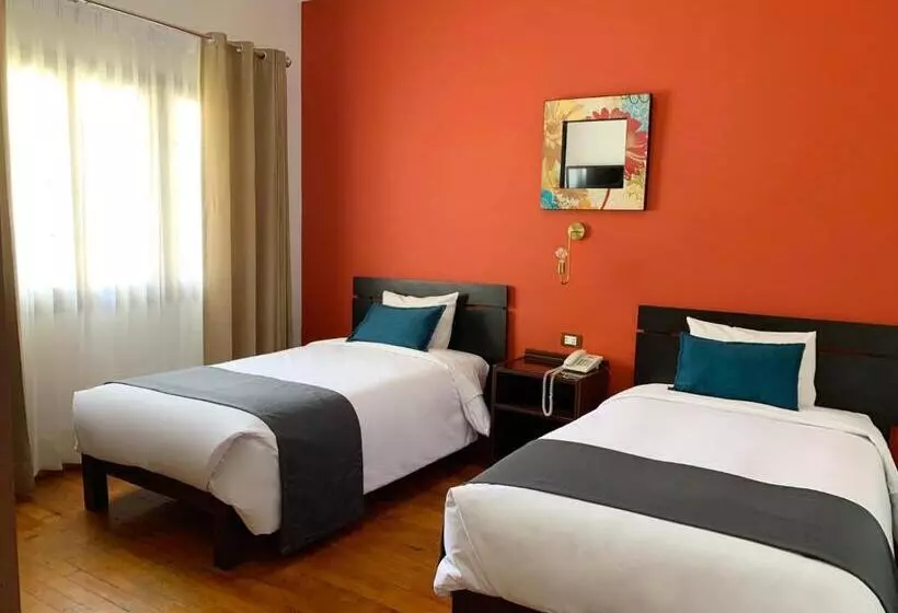 Fotos del hotel Boutique Selva Alegre:  8