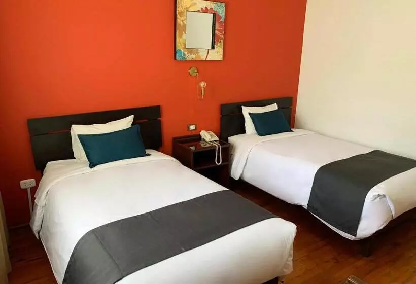 Fotos del hotel Boutique Selva Alegre:  15