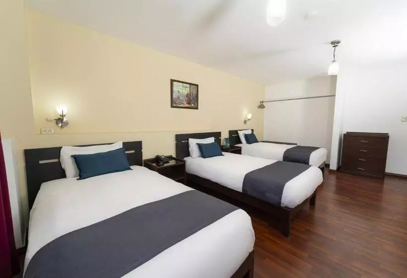 Fotos del hotel Boutique Selva Alegre:  11