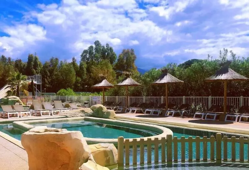 Fotos del hotel Camping La Pinède:  11