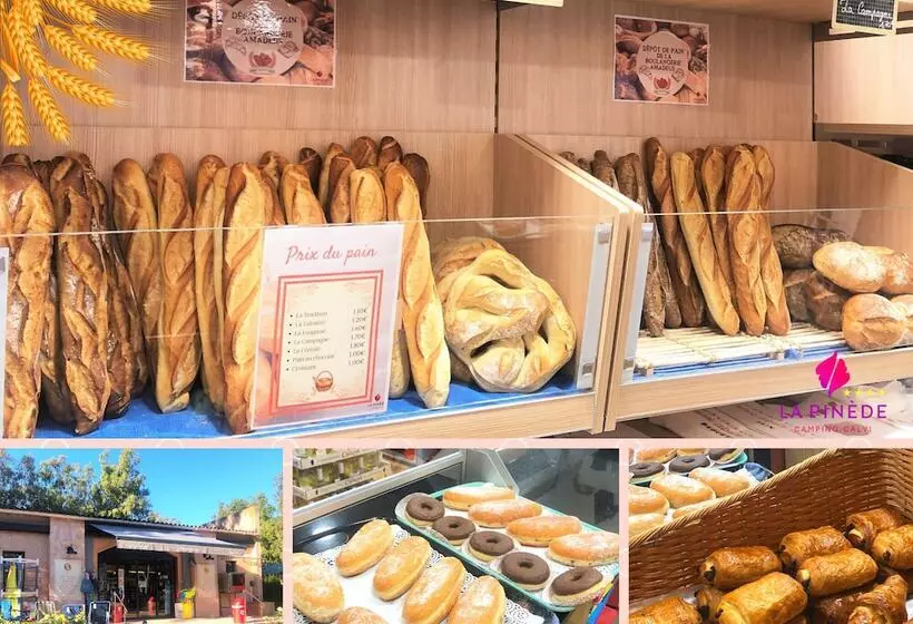 Fotos del hotel Camping La Pinède:  4