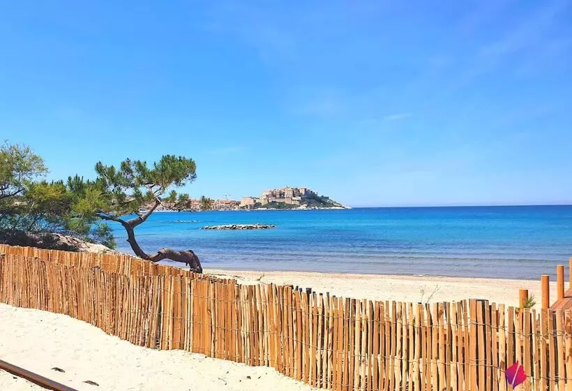 Fotos del hotel Camping La Pinède:  10