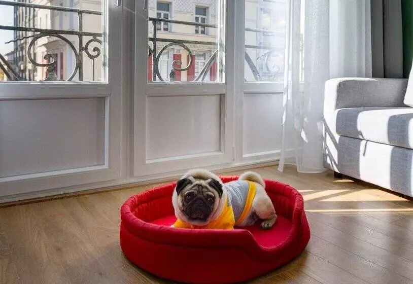 Fotos del hotel Colors Central Ladadika:  25