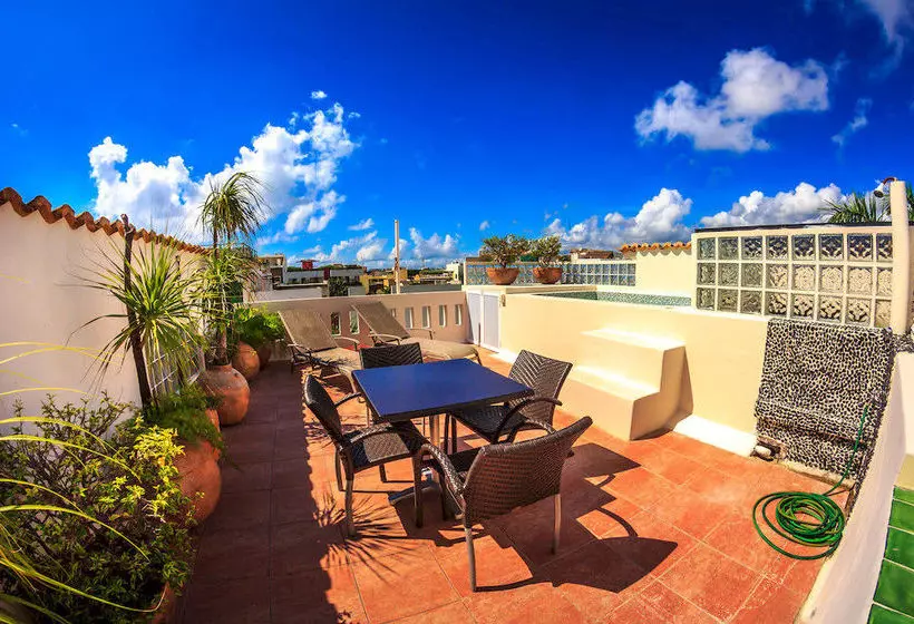 Fotos del hotel Royal Palms By Bric:  13