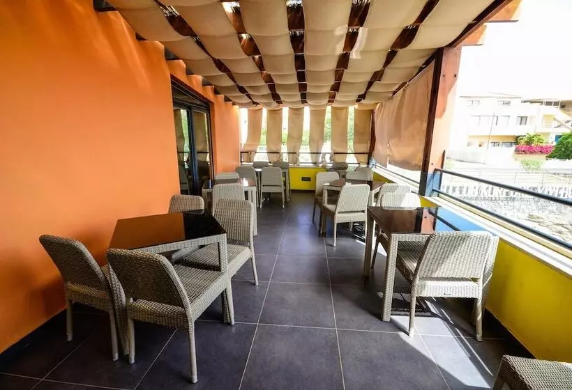 Fotos del hotel Vivi:  7