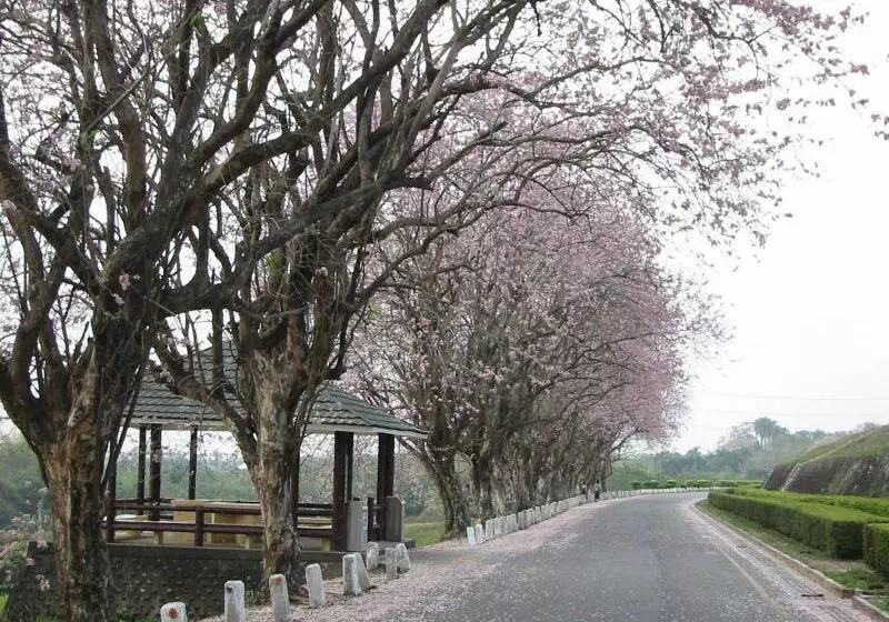 Fotos del hotel Wusanto Huching Resort:  19