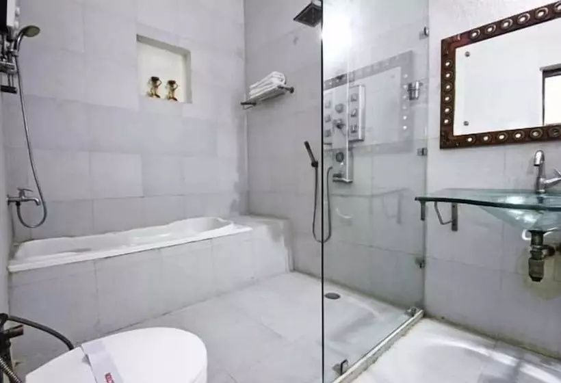 Fotos del hotel Dolphinn Agra:  5