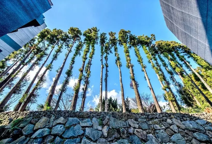 Fotos del hotel Donnaekohill Resort:  22