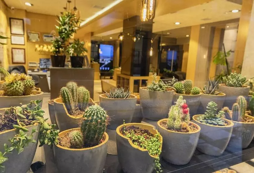 Fotos del hotel Ayramin  Taksim:  23