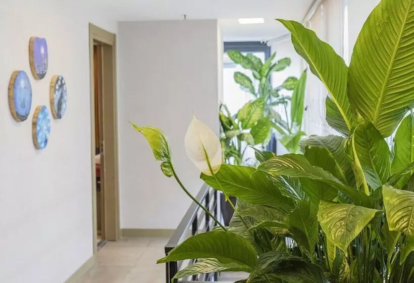 Fotos del hotel Ayramin  Taksim:  8