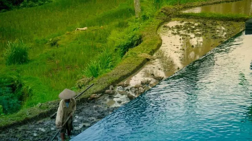 Fotos del hotel Capung Sakti Villas – By Fair Future Foundation:  5