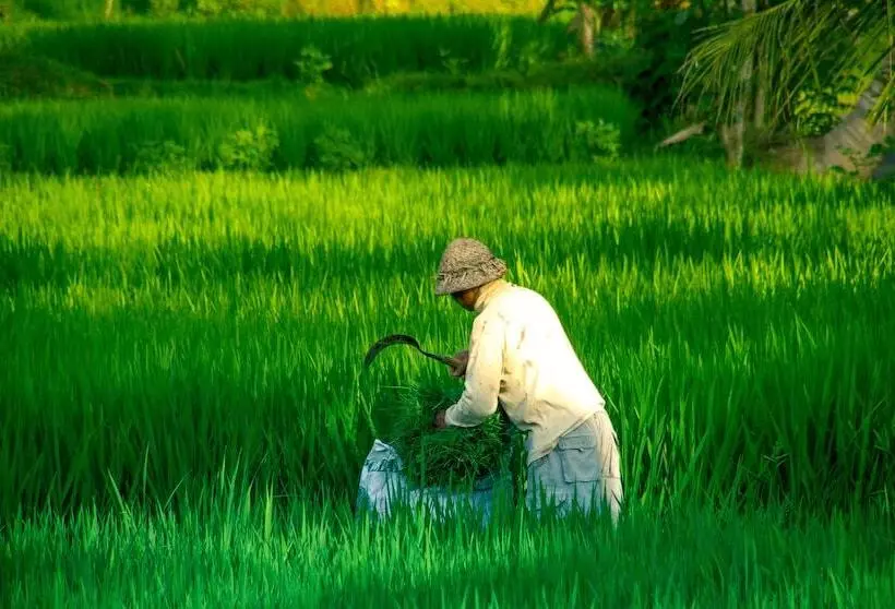 Fotos del hotel Capung Sakti Villas – By Fair Future Foundation:  10