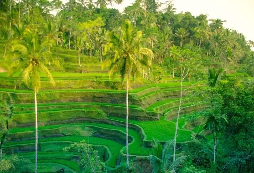 Fotos del hotel Capung Sakti Villas – By Fair Future Foundation:  7