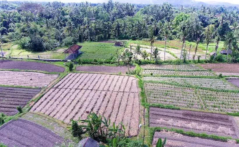 Fotos del hotel Capung Sakti Villas – By Fair Future Foundation:  9