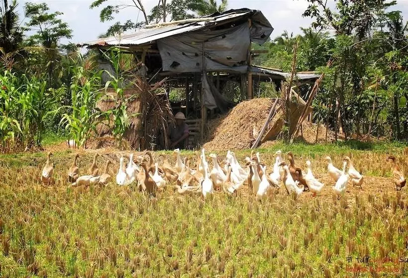 Fotos del hotel Capung Sakti Villas – By Fair Future Foundation:  8