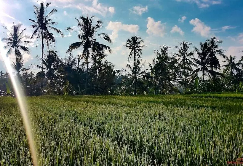 Fotos del hotel Capung Sakti Villas – By Fair Future Foundation:  14