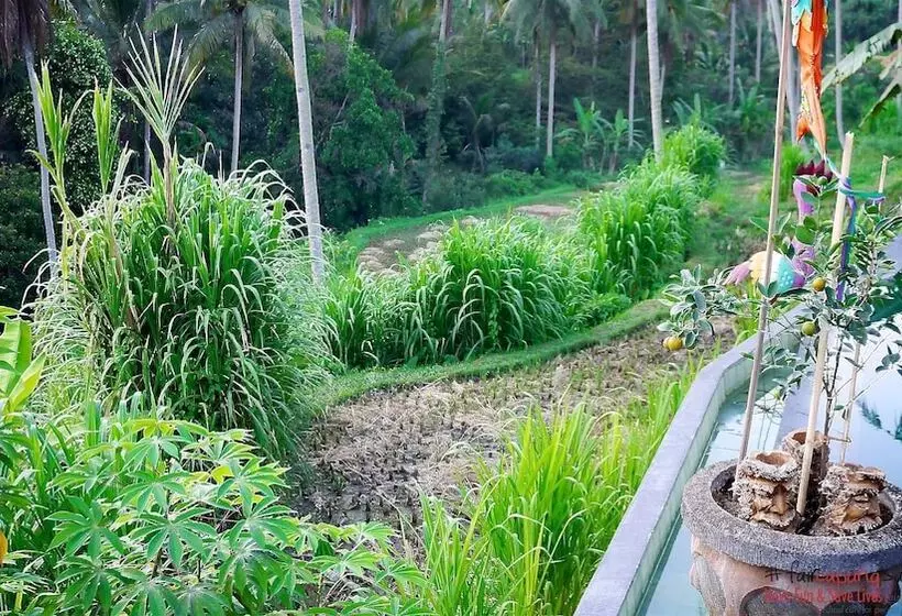 Fotos del hotel Capung Sakti Villas – By Fair Future Foundation:  17