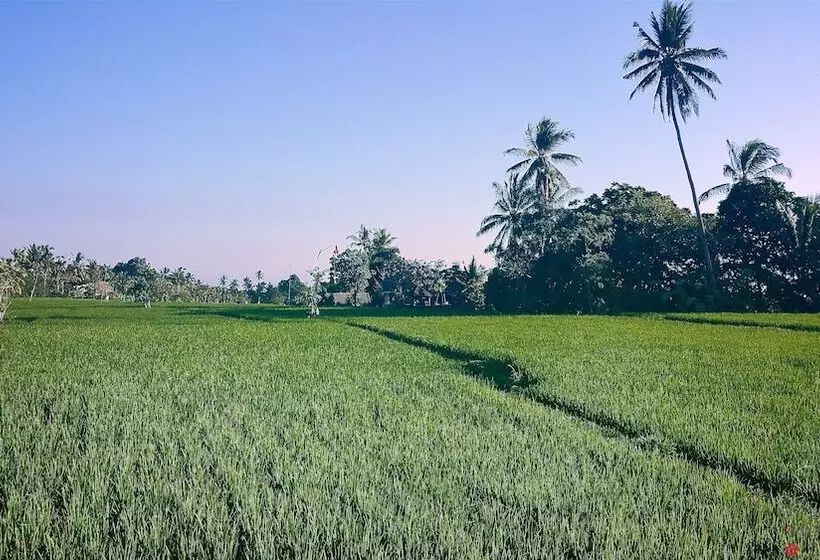 Fotos del hotel Capung Sakti Villas – By Fair Future Foundation:  4