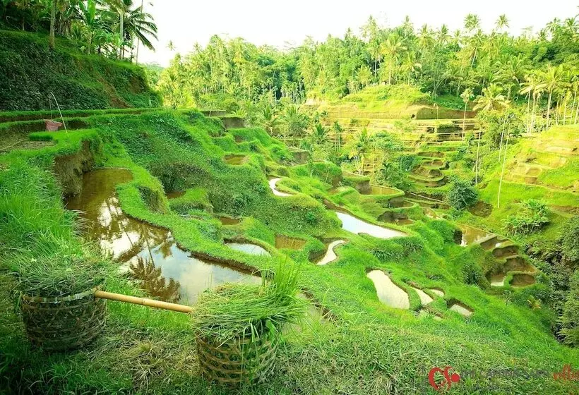 Fotos del hotel Capung Sakti Villas – By Fair Future Foundation:  18