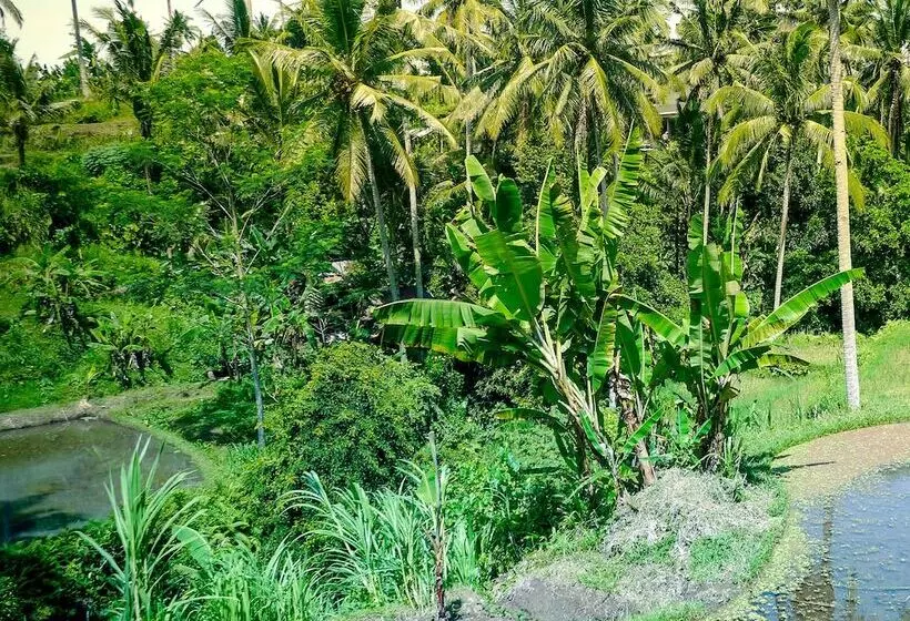 Fotos del hotel Capung Sakti Villas – By Fair Future Foundation:  13