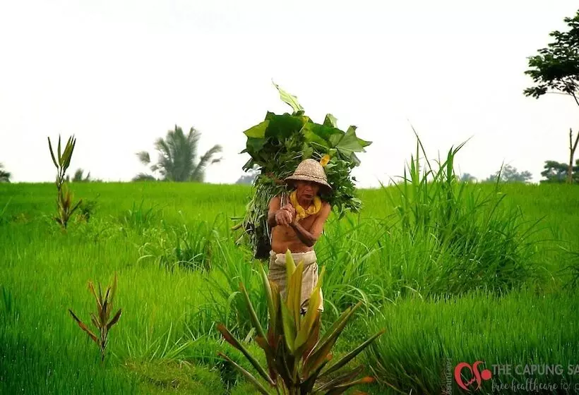 Fotos del hotel Capung Sakti Villas – By Fair Future Foundation:  20