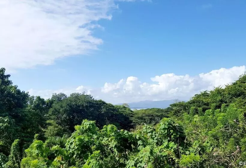 Fotos del hotel Kookaburra Travel Lodge:  5