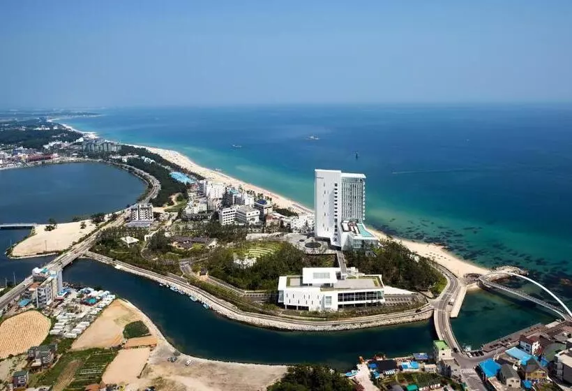 Fotos del hotel Seamarq:  8