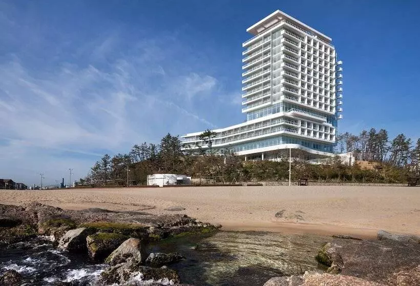 Fotos del hotel Seamarq:  23