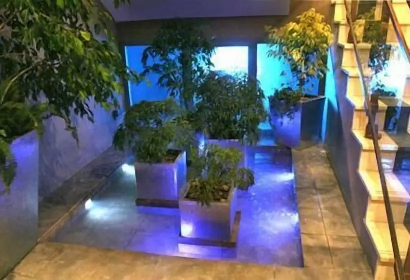 Fotos del hotel Tana:  8