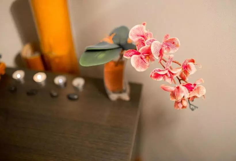 Fotos del hotel Tana:  16