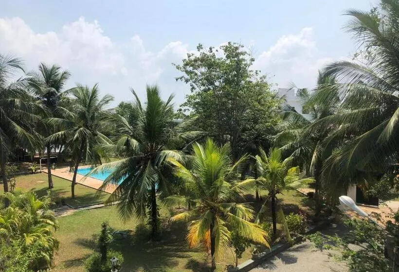 Fotos del hotel Lagoon Paradise:  11