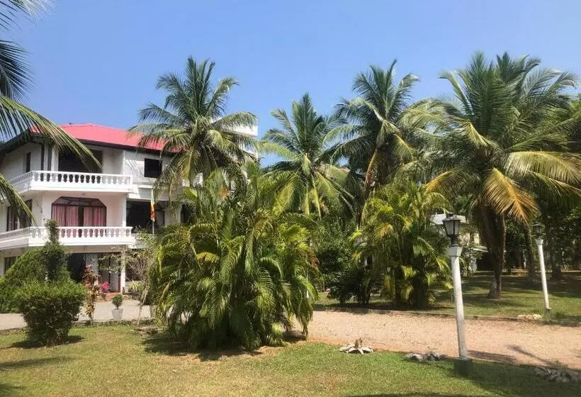 Fotos del hotel Lagoon Paradise:  14