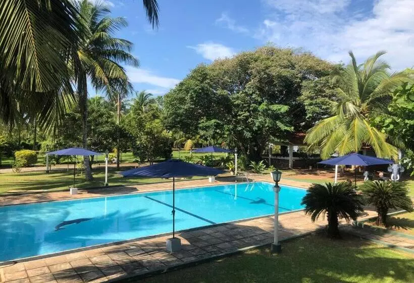 Fotos del hotel Lagoon Paradise:  8