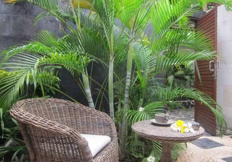 Fotos del hotel Scallywags Resort:  13