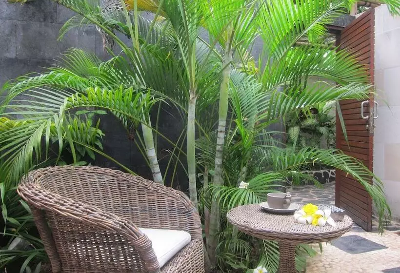 Fotos del hotel Scallywags Resort:  6