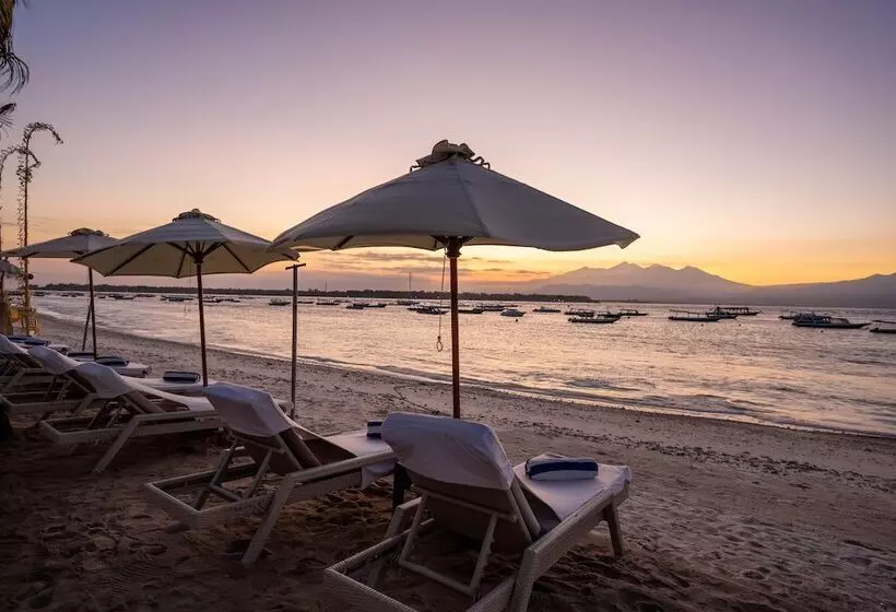 Fotos del hotel Scallywags Resort:  9