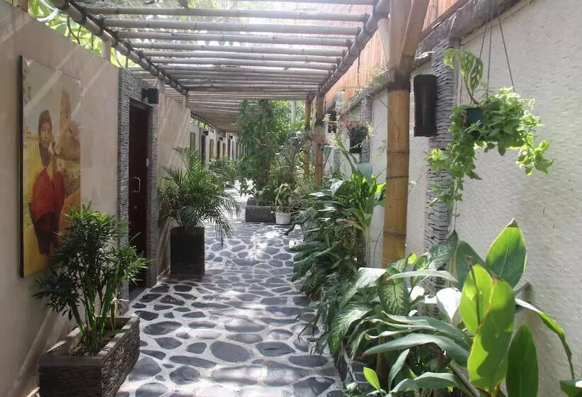 Fotos del hotel Scallywags Resort:  17