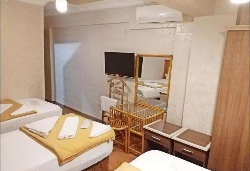 Fotos del hotel Istanbul Sydney:  22