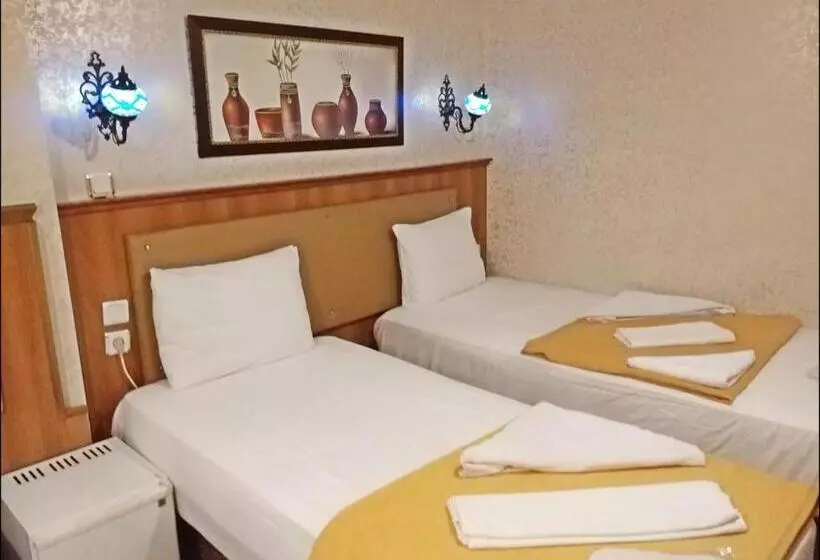 Fotos del hotel Istanbul Sydney:  14