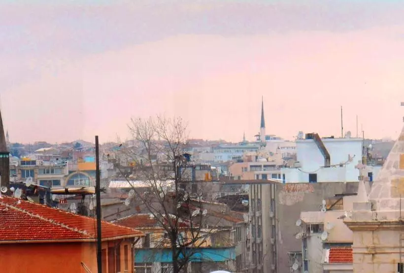 Fotos del hotel Istanbul Sydney:  15