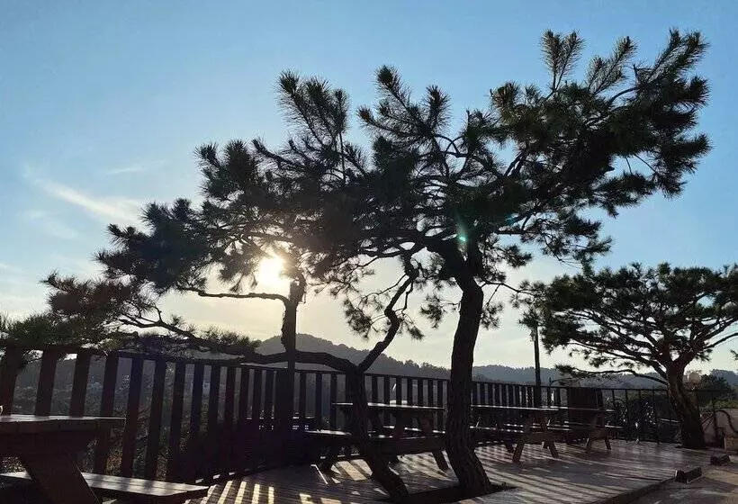 Fotos del hotel Orange:  10