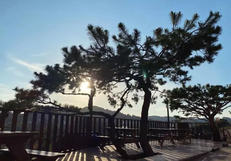 Fotos del hotel Orange:  5