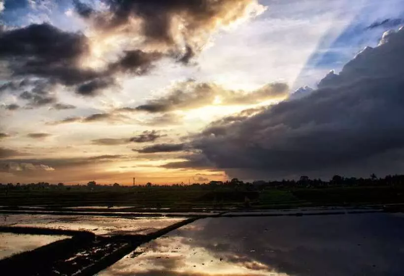 Fotos del hotel Ngeluwungan Boutique Villa:  8