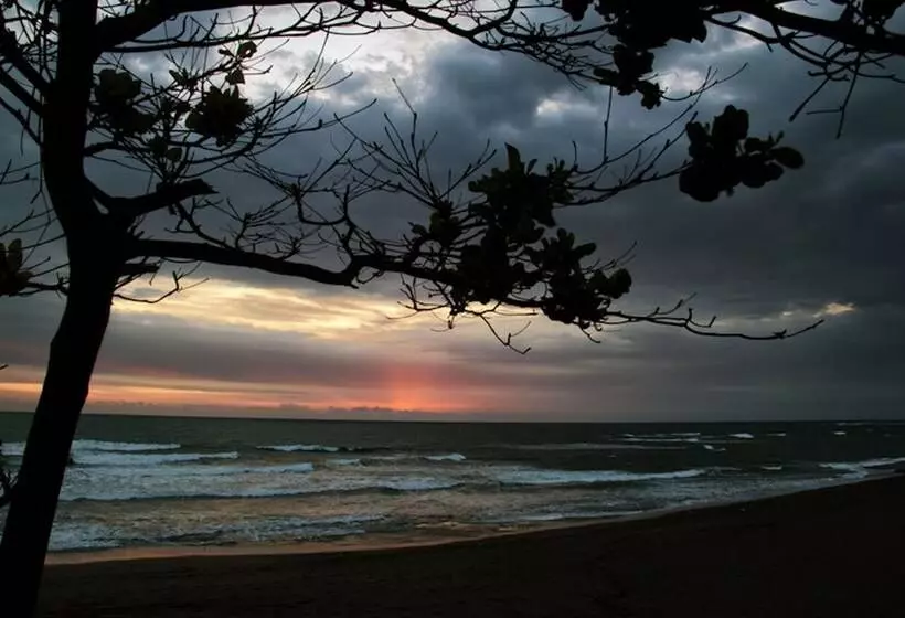 Fotos del hotel Ngeluwungan Boutique Villa:  21