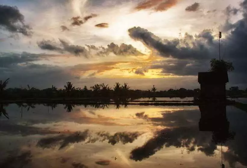 Fotos del hotel Ngeluwungan Boutique Villa:  24