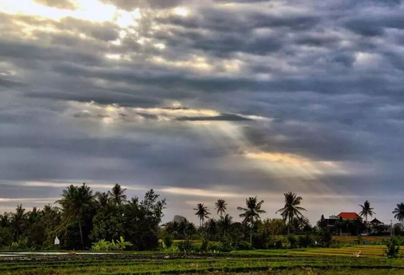 Fotos del hotel Ngeluwungan Boutique Villa:  11