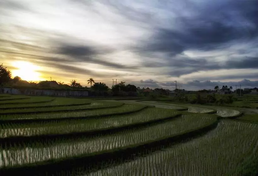 Fotos del hotel Ngeluwungan Boutique Villa:  18