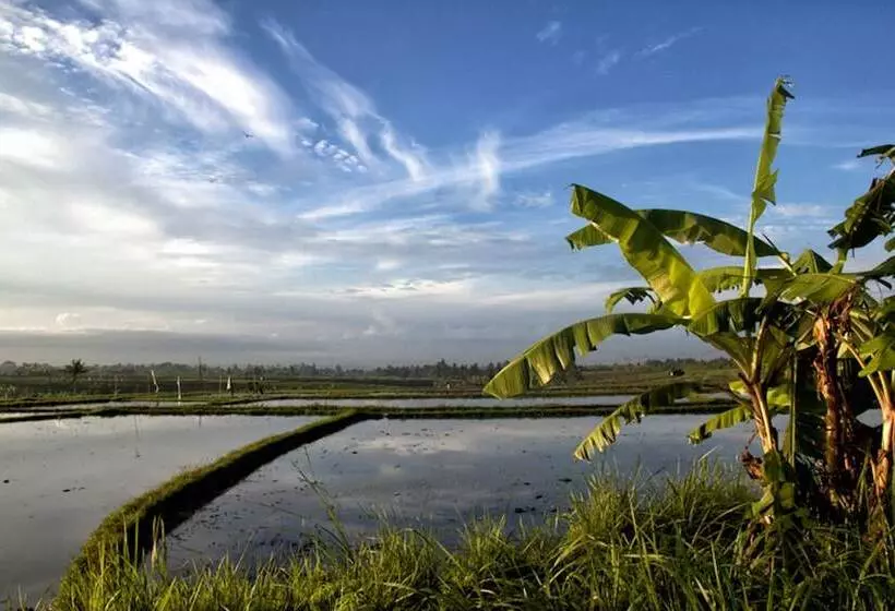 Fotos del hotel Ngeluwungan Boutique Villa:  14