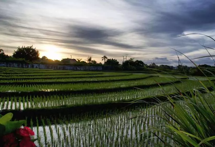 Fotos del hotel Ngeluwungan Boutique Villa:  19