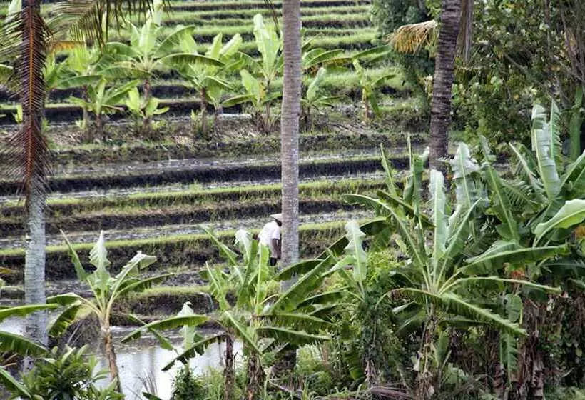 Fotos del hotel Ngeluwungan Boutique Villa:  10